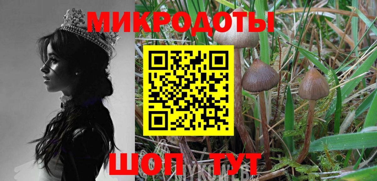 Галлюциногенные грибы GOLDEN TEACHER  Вход с VPN  Челябинск 