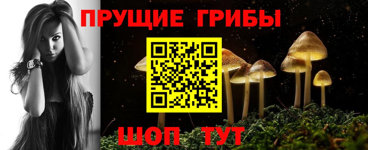 Галлюциногенные грибы GOLDEN TEACHER Челябинск